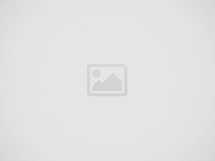 Hire a Freelance Illustrator