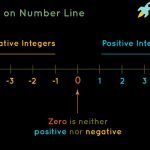 Basic Concepts of Number Lines