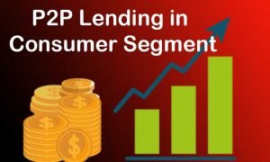The Role of P2P Lending in Serving a Variety of Consumer Segments of Society