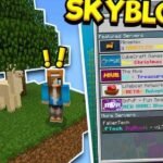 Minecraft Skyblock