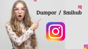 Tips & Hacks like Dumpor, Smihub That Every Blogger Should Know!