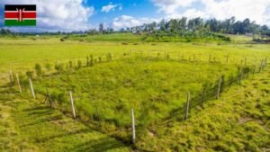 Reasons Why You Should Invest On Buying Land in Kenya