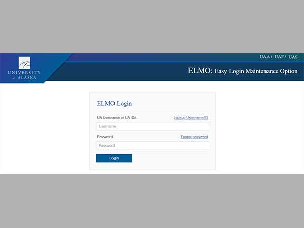 Easy Login Maintenance Login