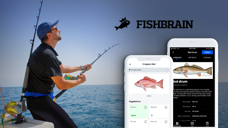 Fishbrain app