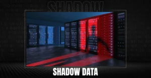 Strategies to Manage and Secure Shadow Data